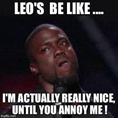 Leo memes