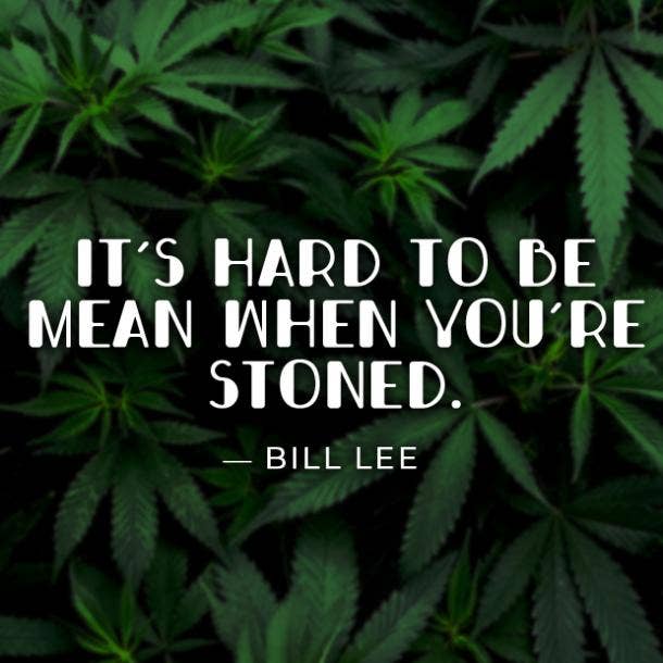 Best Marijuana Quotes Smoking Weed Cannabis