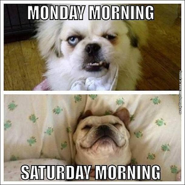 12 Funny Good Morning Memes & Peppy Quotes About Morning People | YourTango
