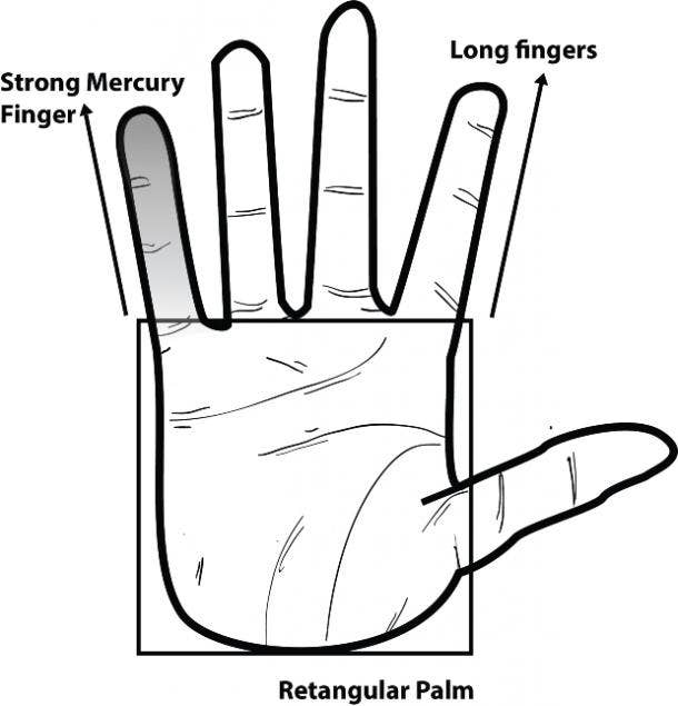 Women Breast Size Shape Tells About Her ~ INDIAN PALMISTRY, PALM READING