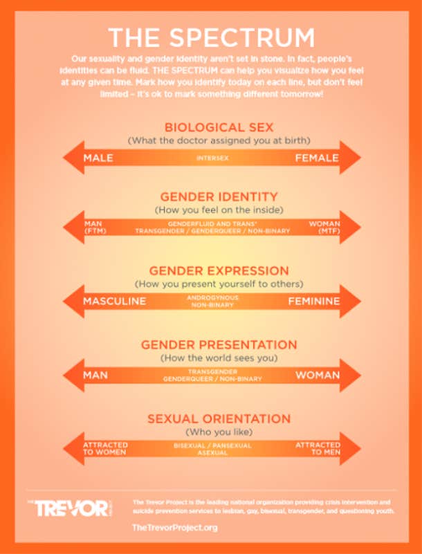 gender identity & sexual orientation spectrum