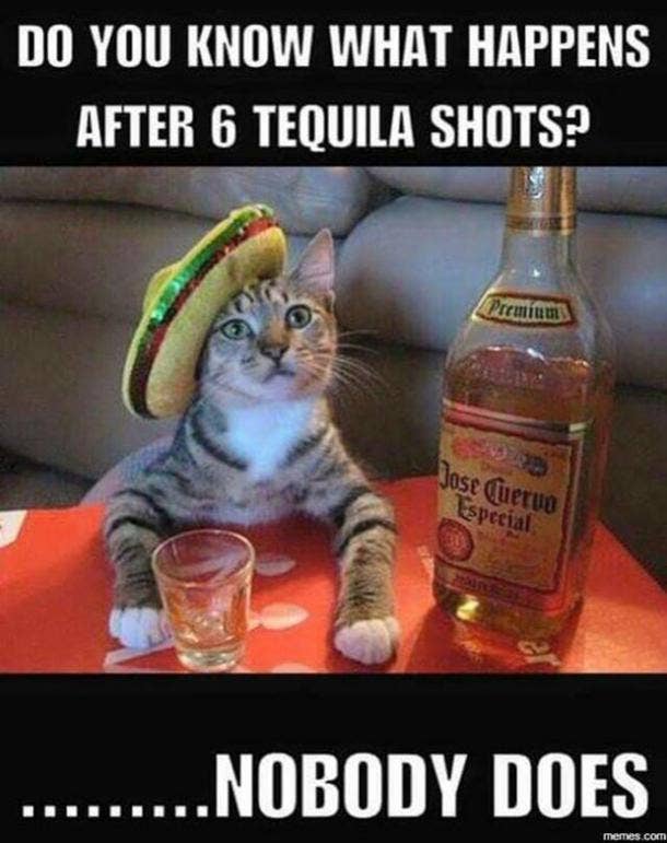 National Tequila Day Tequila Memes Margarita Memes