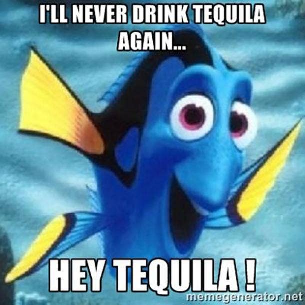 National Tequila Day Tequila Memes Margarita Quotes