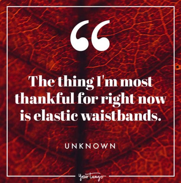 elastic waistbands Thanksgiving quote