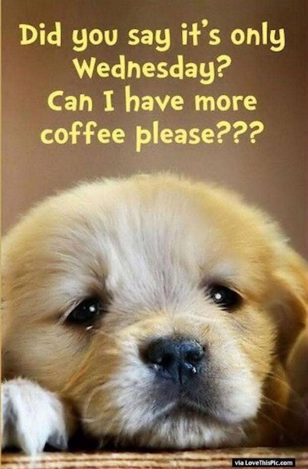 50 Best Wednesday Quotes & Hump Day Memes To Get You Through The Week | YourTango 50 Best Wednesday Quotes & Hump Day Memes To Get You Through The Week | YourTango