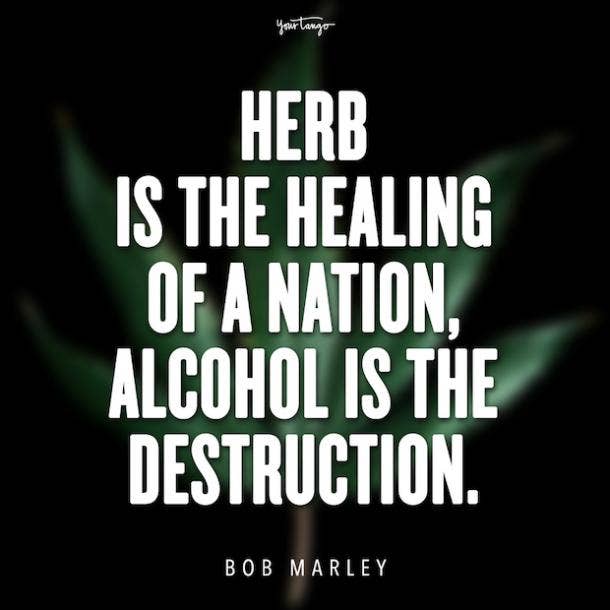 The 35 Best Weed And Marijuana Quotes About The Benefits Of Cannabis Yourtango