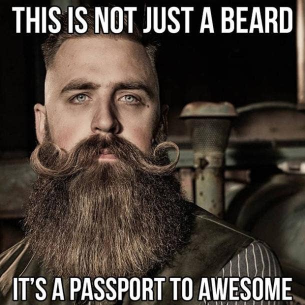 40 Best Funny Beard Memes And Hottest Celebrities With Beards To Celebrate  National Beard Day On September 1st | YourTango