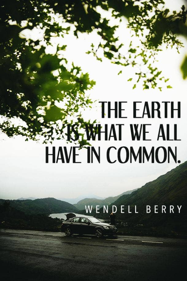 Wendell Berry environment quote