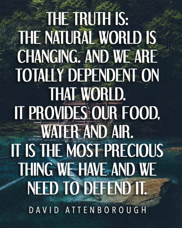 David Attenborough environment quote