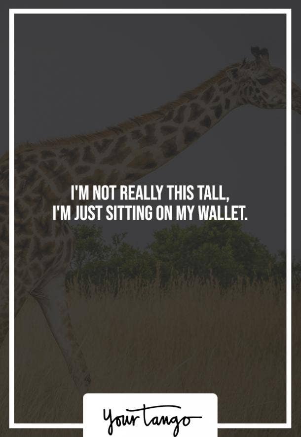 photo Cute Animal Pick Up Lines 100 best funny pick up lines for guys