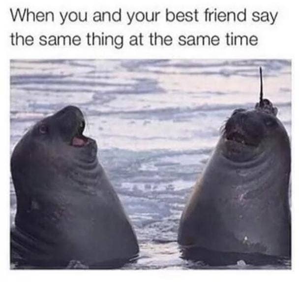 friendship memes friendship day