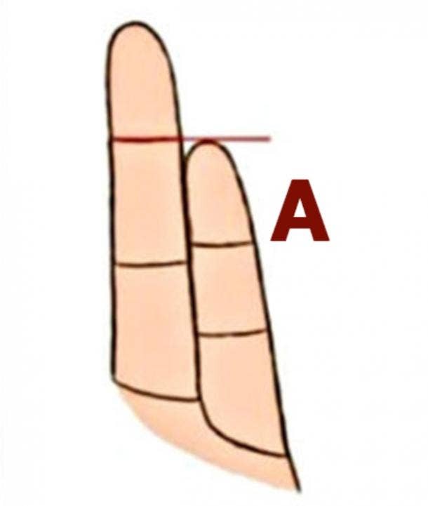 How The Length Of Your Pinky Finger Reveals Your Specific Personality Type - 39