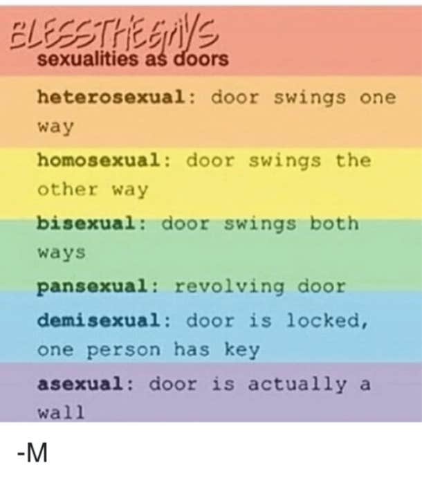 what is a demisexual