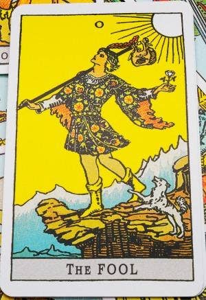 the fool tarot card