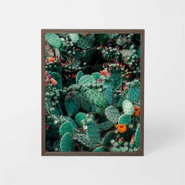 Frameology Henry Brown Framed Photo