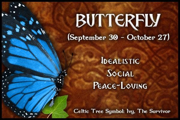  Butterfly