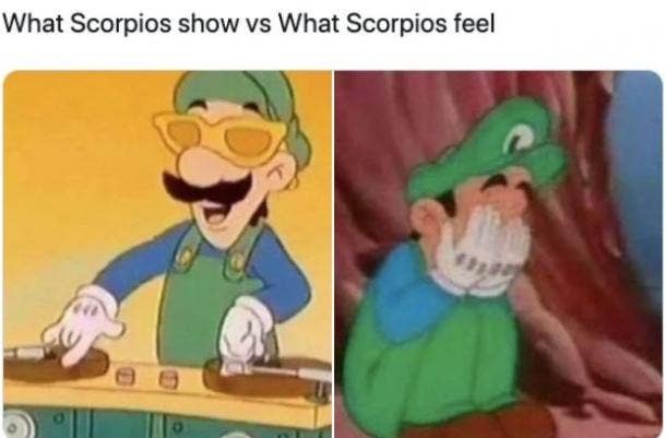 Best Scorpio Memes