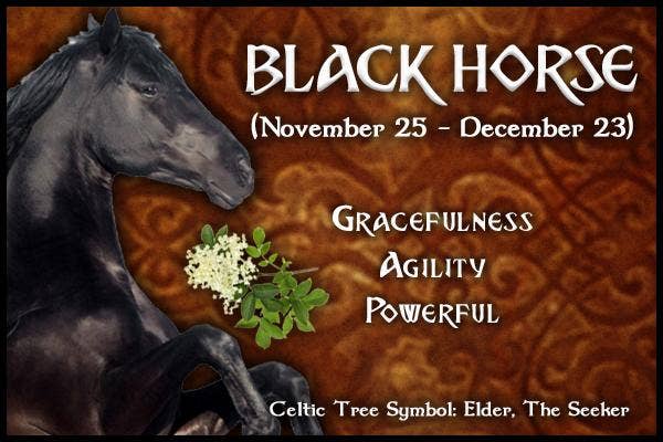  Black Horse