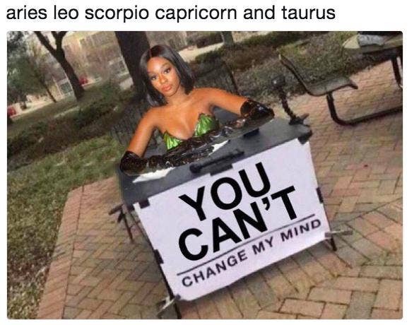 Best Aries Memes