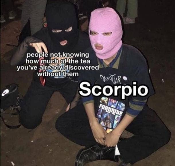 Best Scorpio Memes