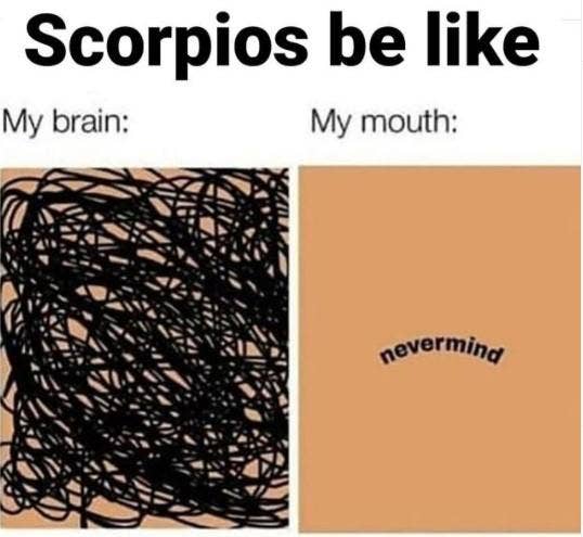 50 Best Scorpio Memes That Describe This Zodiac Sign | YourTango