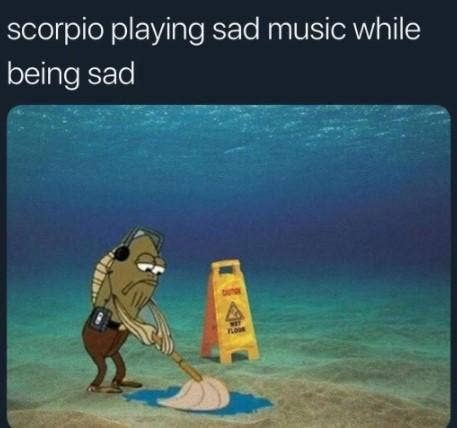 Best Scorpio Memes