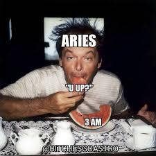 Best Aries Memes