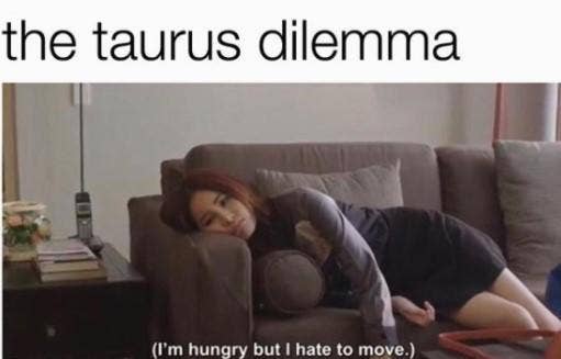 Best Taurus Memes