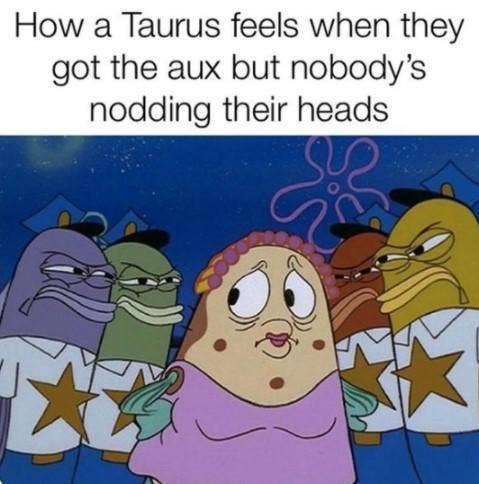 Best Taurus Memes