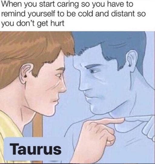 Best Taurus Memes