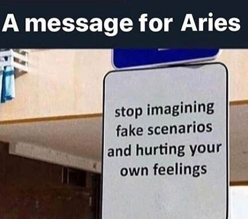 Best Aries Memes
