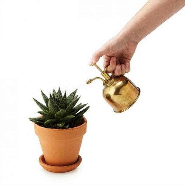 Brass Succulent Mister