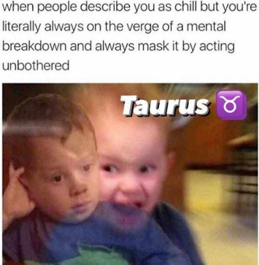 Best Taurus Memes