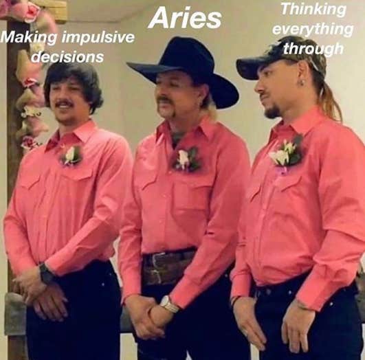 Best Aries Memes