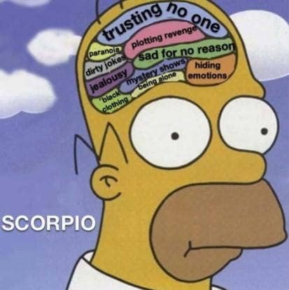 Best Scorpio Memes