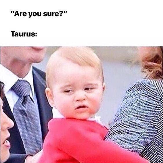 Best Taurus Memes