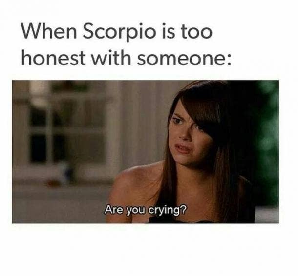 Best Scorpio Memes