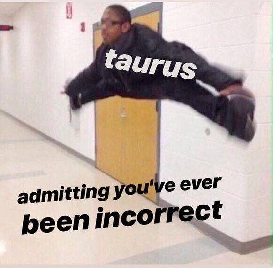 Best Taurus Memes