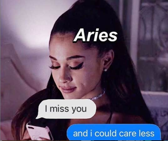 50 Best Aries Memes That Describe This Zodiac Sign | YourTango