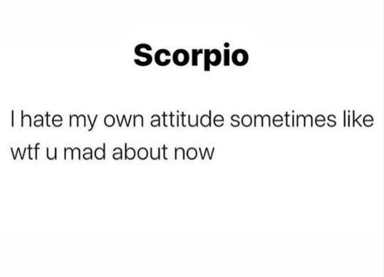 Best Scorpio Memes