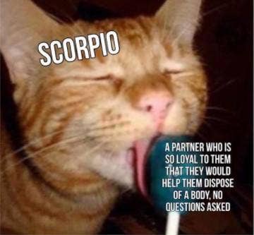 Best Scorpio Memes