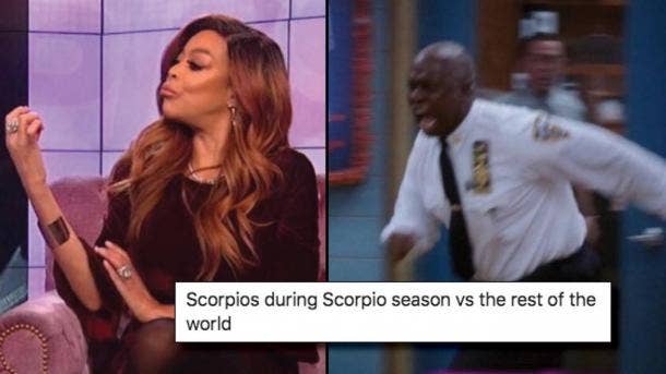 Best Scorpio Memes