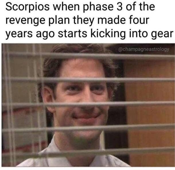 50 Best Scorpio Memes That Describe This Zodiac Sign | YourTango