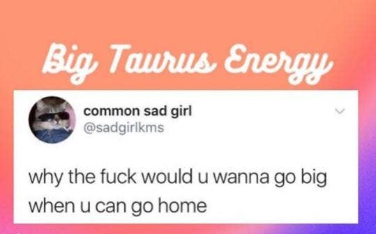 Best Taurus Memes