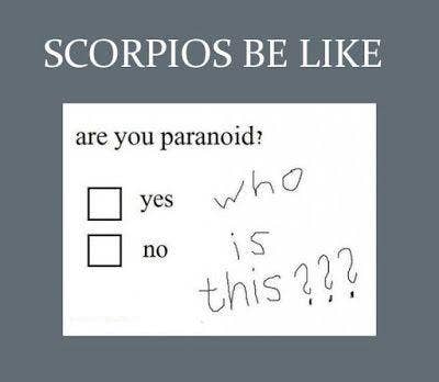 Best Scorpio Memes