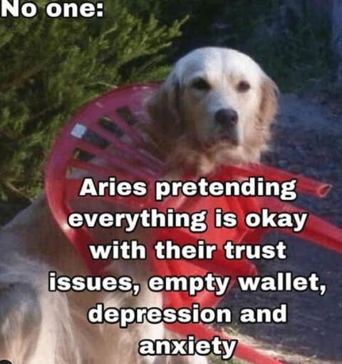 Best Aries Memes