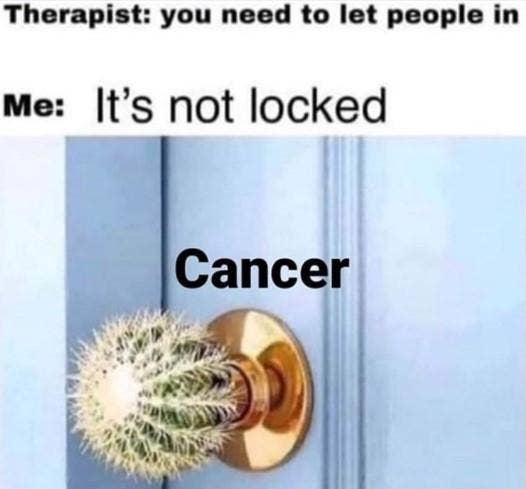 Best Cancer Zodiac Memes