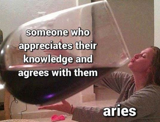 Best Aries Memes