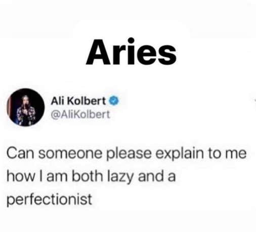 Best Aries Memes