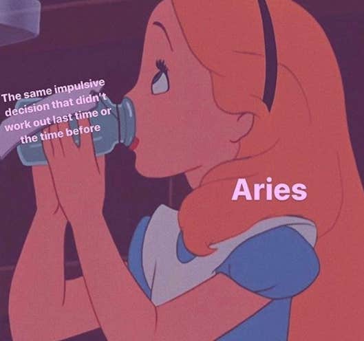 Best Aries Memes